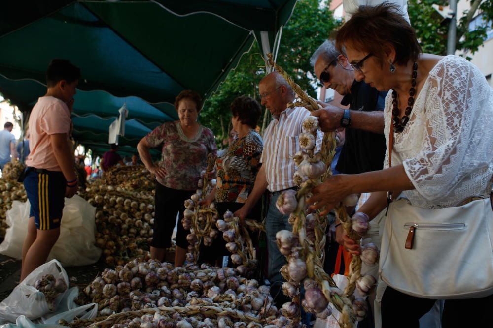 San Pedro 2016: Feria del Ajo