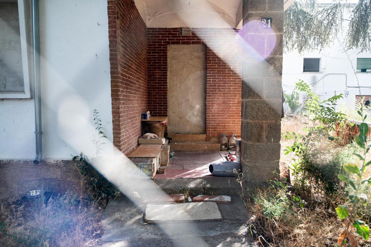 Fotogalería | Ventanas tapiadas, basura y accesos abiertos en las viviendas abandonadas en la avenida de Cervantes de Cáceres
