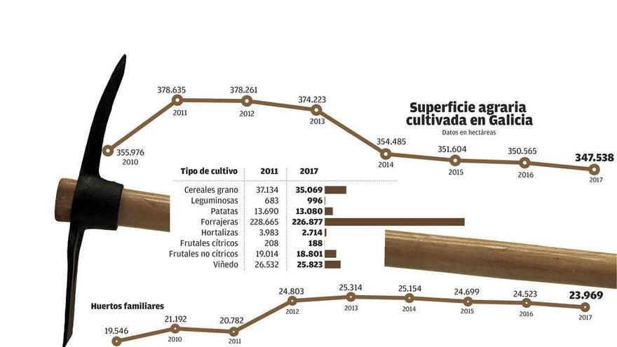 Galicia pierde 17 hectáreas al día de suelo cultivado