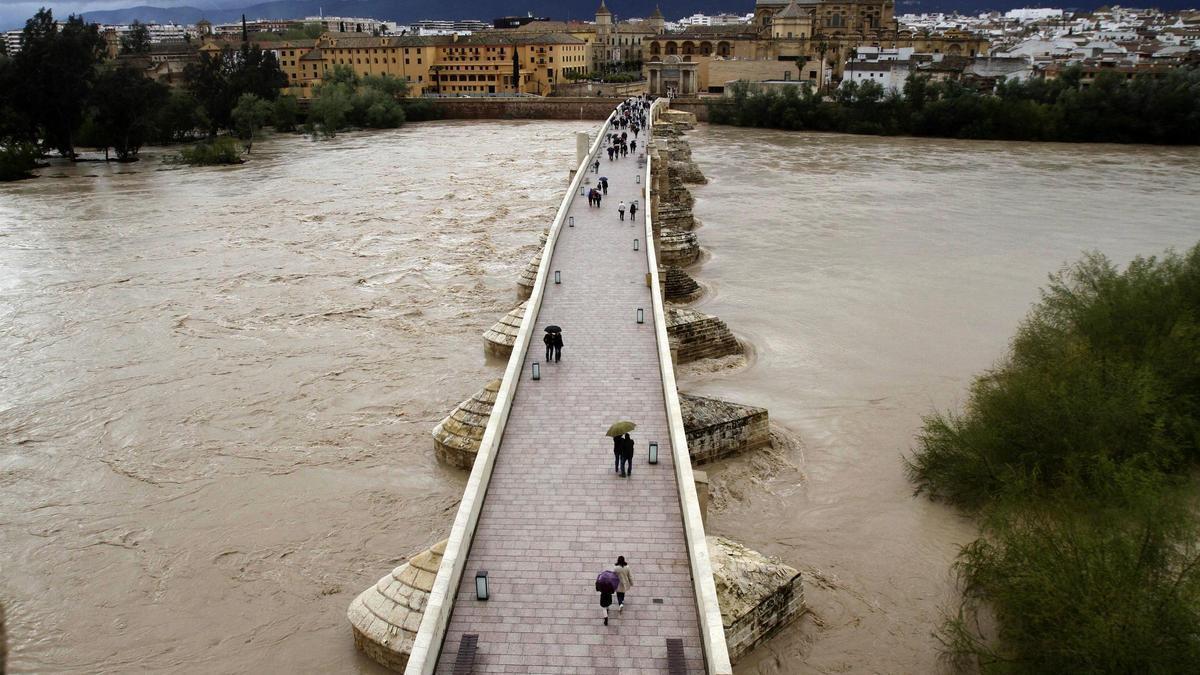 Crecida del Guadalquivir en Córdoba el año pasado.