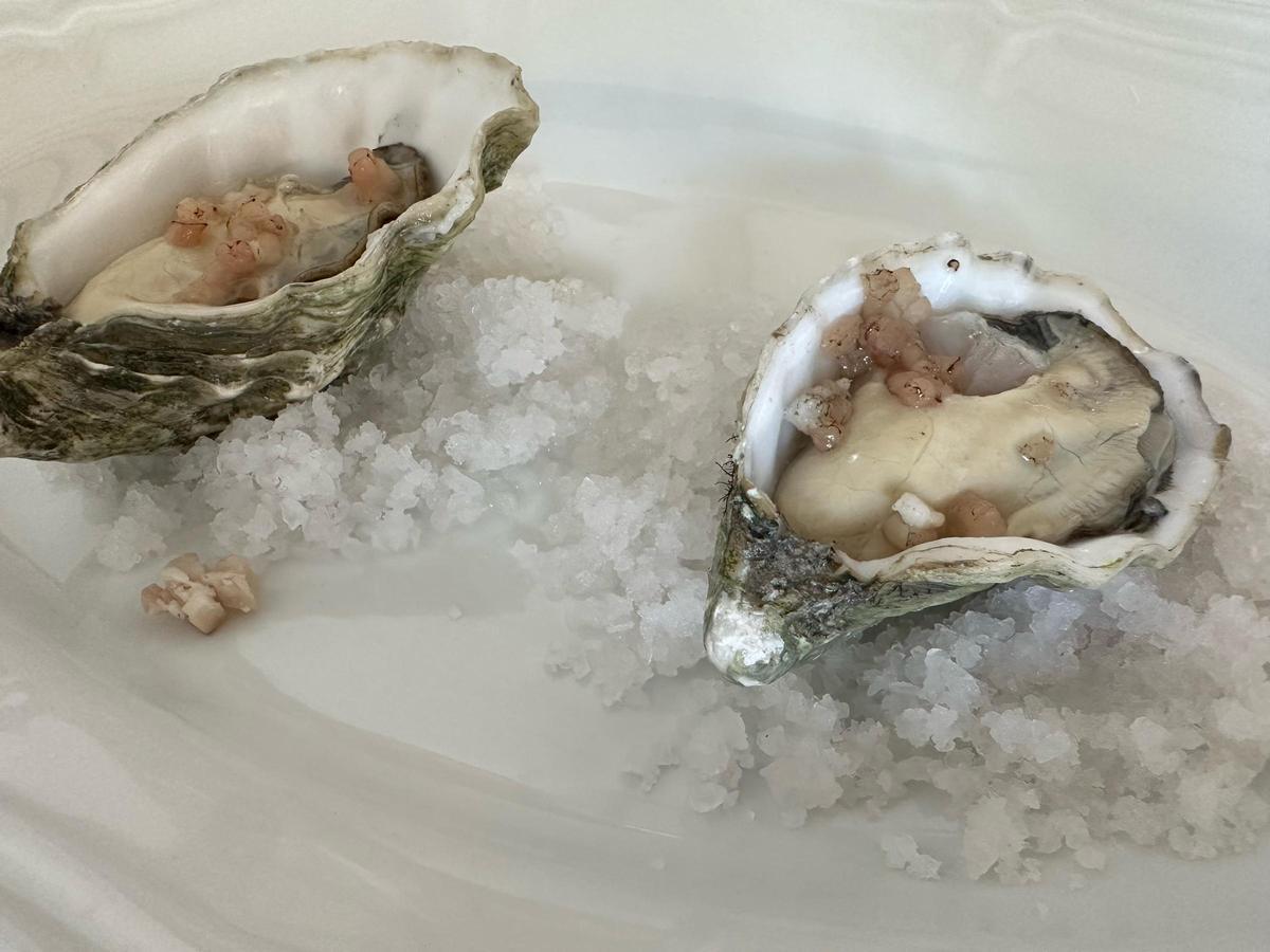 Ostra con grasa templada de picana