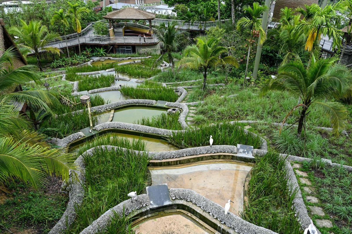 Singapur estrena el parque Paraíso de los pájaros