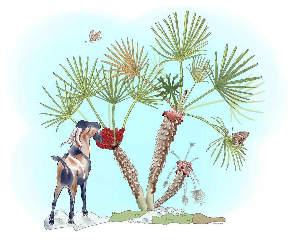 Figura ilustrativa de los protagonistas del segundo estudio, diseñada por la investigadora Raquel Muñoz.