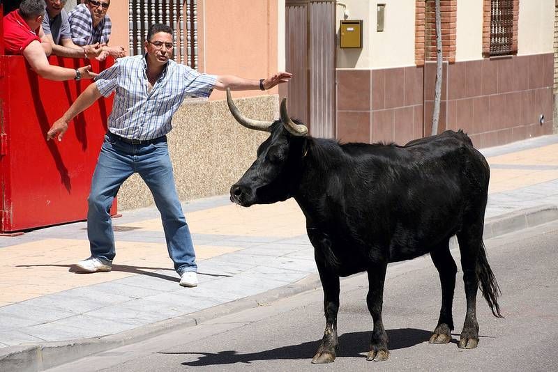 Fiestas de Utebo