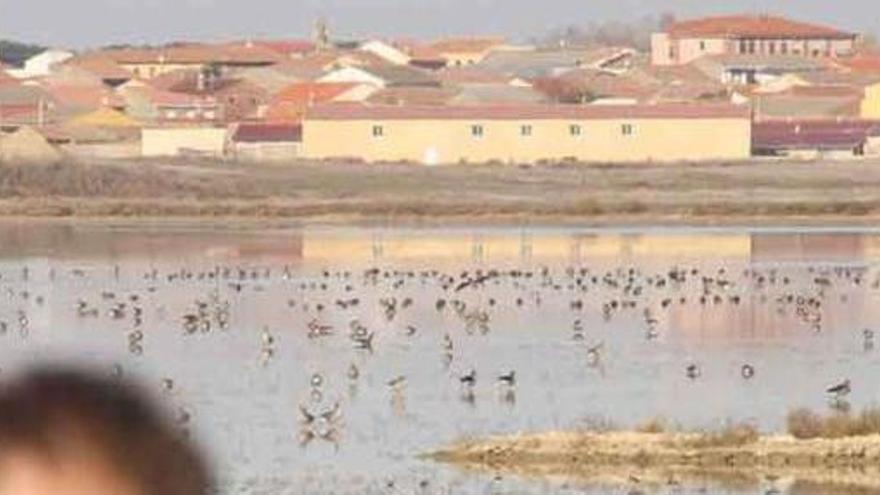 Dos turistas observan las aves en Villafáfila.