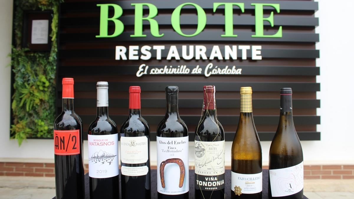 Brote ofrece los mejores vinos de las diferentes denominaciones de origen.