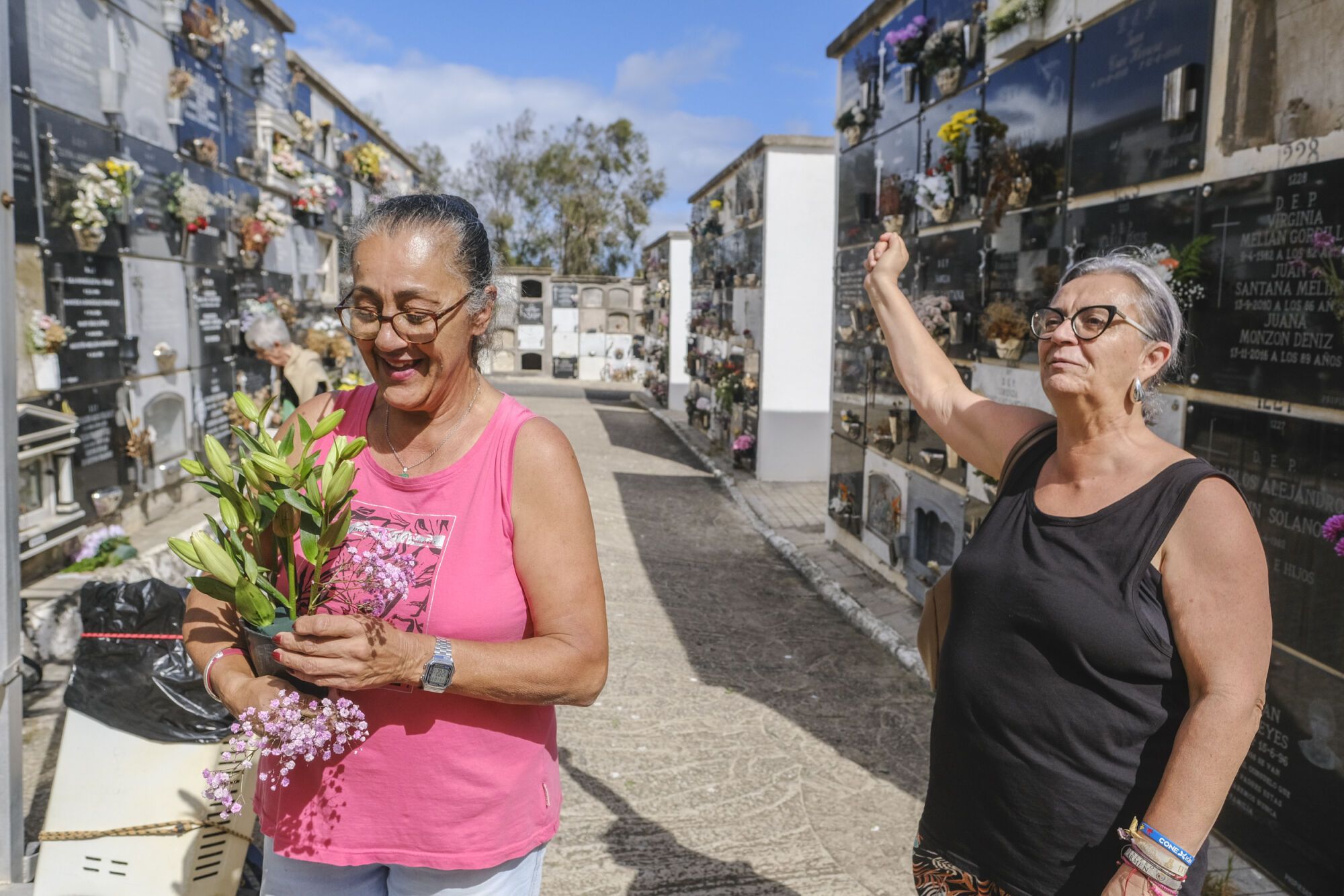 El cementerio de San Lázaro se prepara para el Día de Todos los Santos