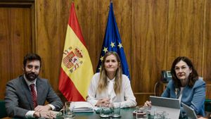 La CNMV qüestiona que es realitzin informes diaris sobre les elèctriques