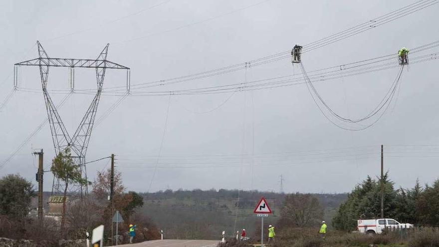 Desarrollo de los trabajos en la línea de alta tensión en la zona de Pelazas, en Villar del Buey.