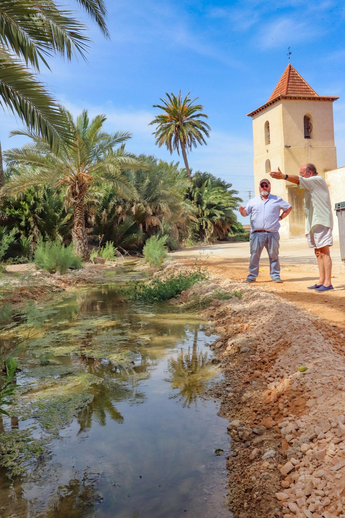 El agua de drenajes agrícolas con fertilizantes del Campo de Salinas desborda las fincas y llega a la laguna de Torrevieja