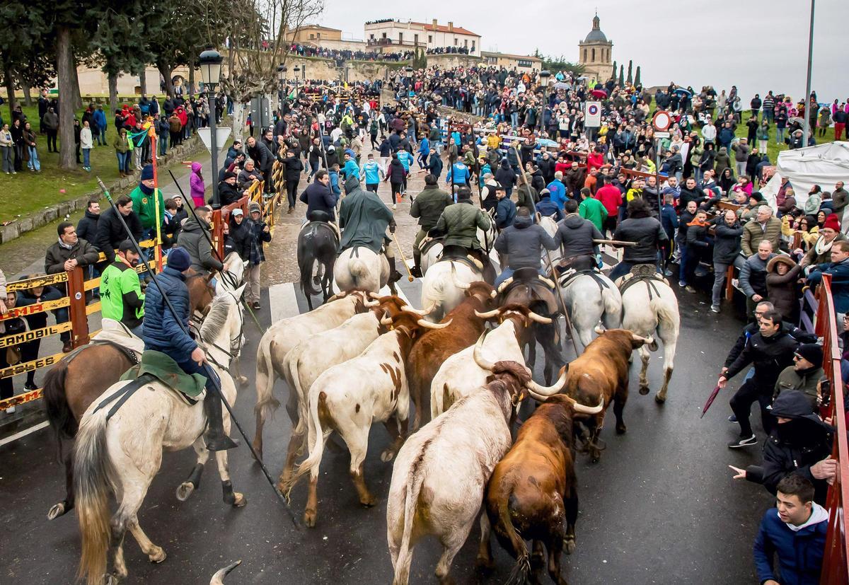 Carnaval del Toro en Ciudad Rodrigo (Salamanca)