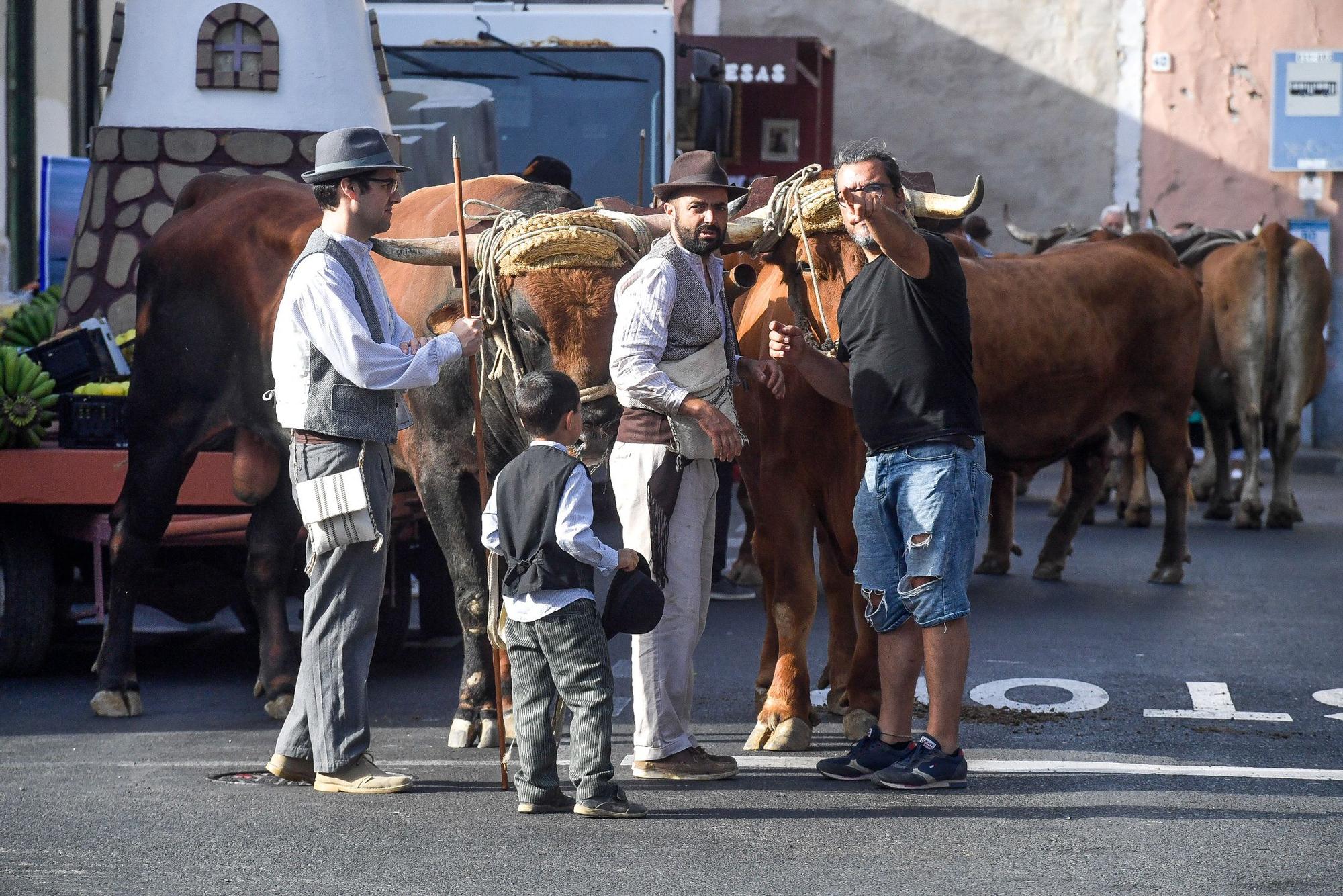 Romería de San Juan en Telde