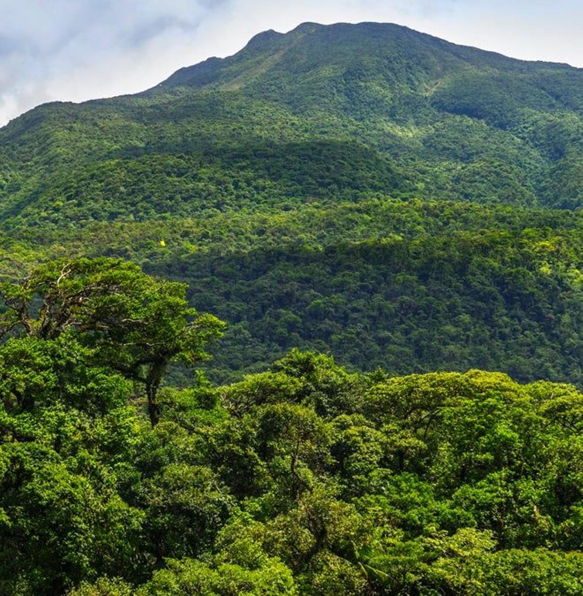 Vista del volcán &quot;Tenorio&quot; (1.916 metros), en la cordillera de Guanacaste.