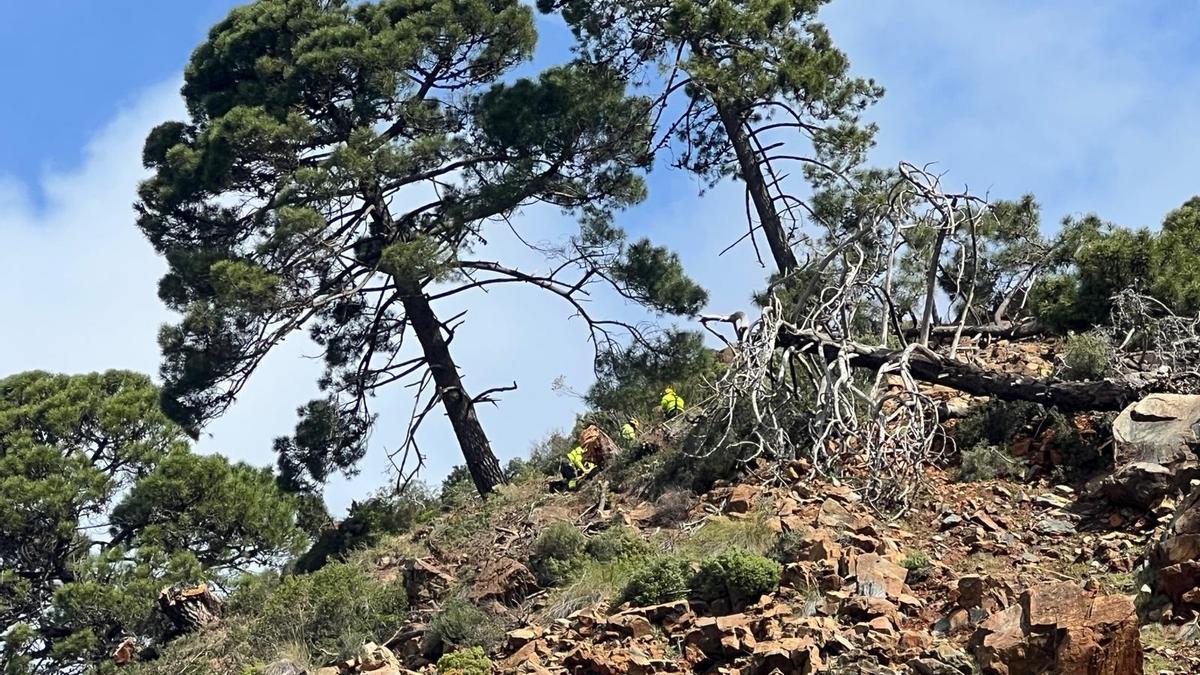 Operarios trabajan para estabilizar la ladera de la carretera cortada A-397.