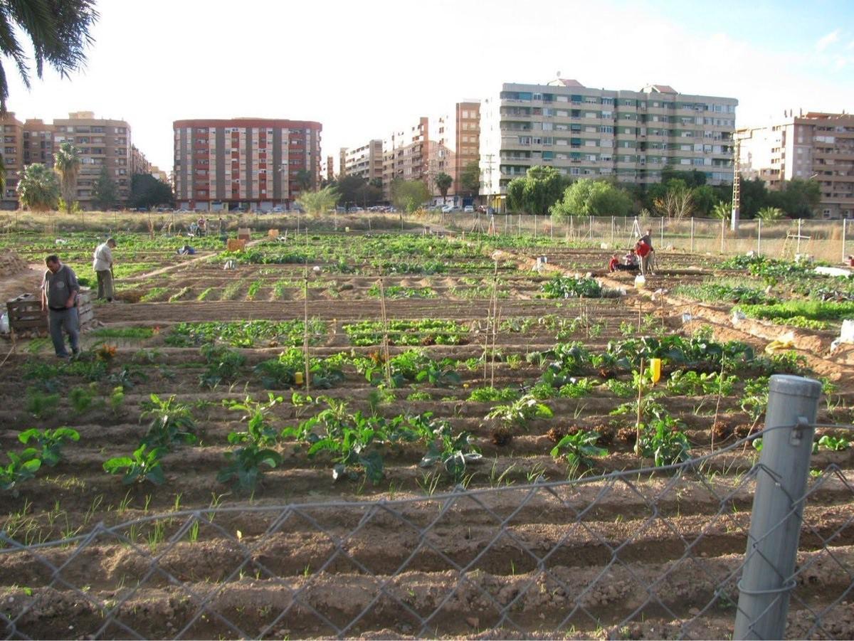 La huerta de València integrada en la ciudad.