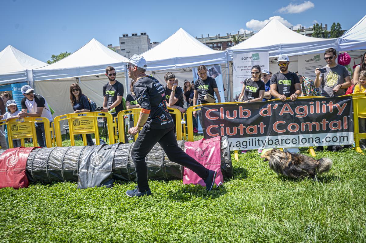 CAN WE RUN BARCELONA. La carrera organizada por Prensa Ibérica y El Periódico de Catalunya con la colaboración de Sport ,  donde las personas y sus mascotas perrunas corren en familia