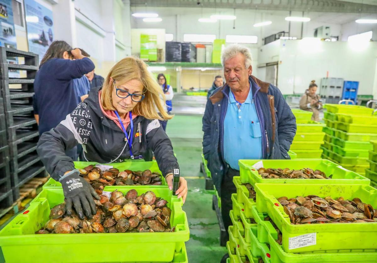 Pescadores descargando sus capturas del día, en el puerto de Tragove.   | // IÑAKI ABELLA