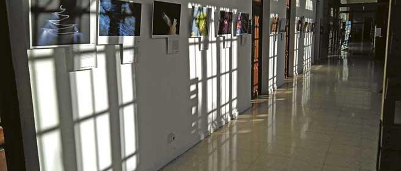 Exposició fotografia científica.