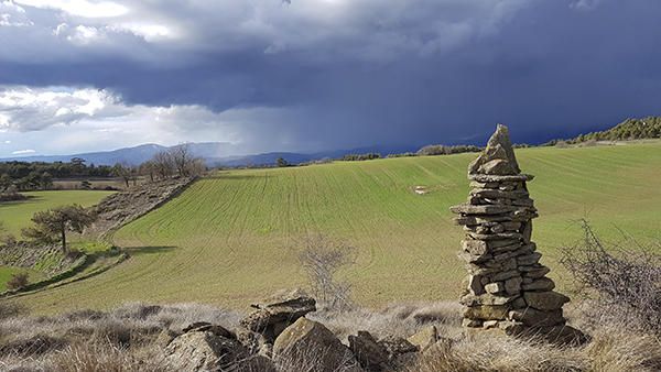 Tempesta. S’acostava una bona tempesta que possiblement arribaria acompanyada de pluja, la qual seria un benefici per al sembrat que creix. f