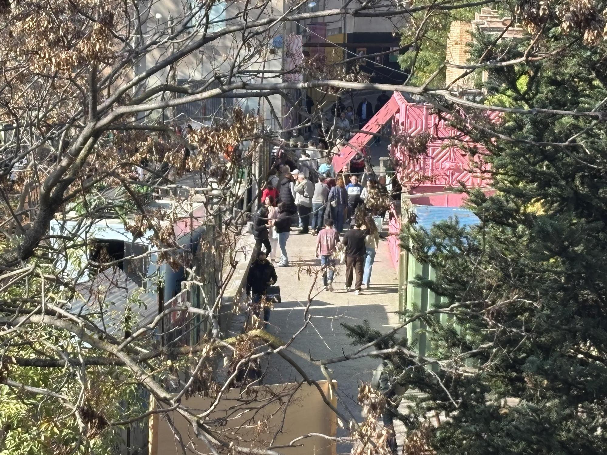 Les millors imatges del Rec.0