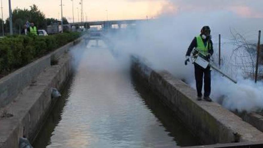 Moliner convoca a una reunión a los 17 pueblos más afectados por los mosquitos