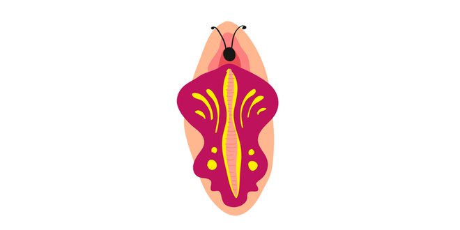 Vulva mariposa