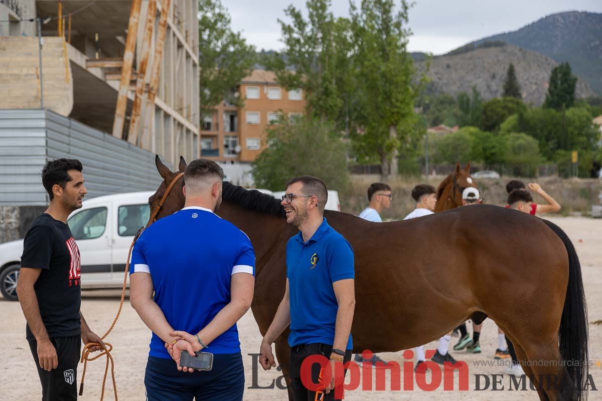 Control veterinario de los Caballos del Vino en Caravaca