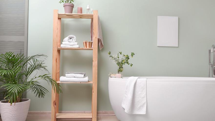 Plantas para baños: crea un espacio fresco y relajante