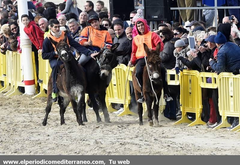 GALERÍA DE FOTOS -- Orpesa celebra Sant Antoni con carreras y bendición de animales