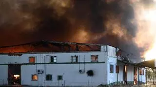 El incendio de Palma del Río, controlado pero no extinguido: los bomberos seguirán varios días en la zona