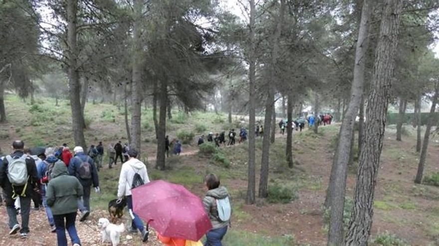 Más de 100 personas en una marcha en Ibi contra el polígono de La Canal