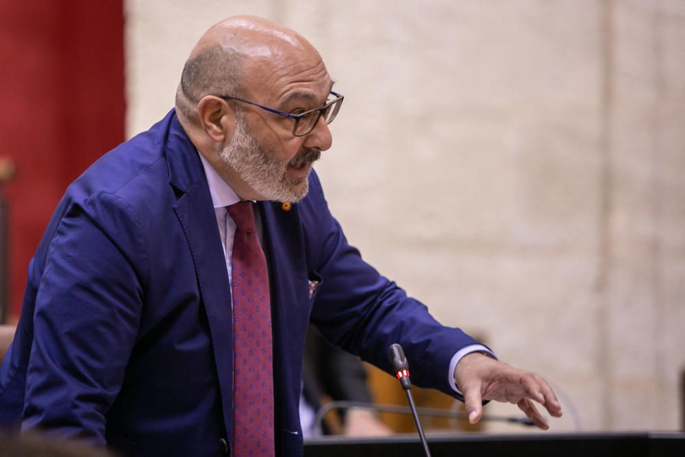 ..Segunda jornada del Pleno del Parlamento andaluz