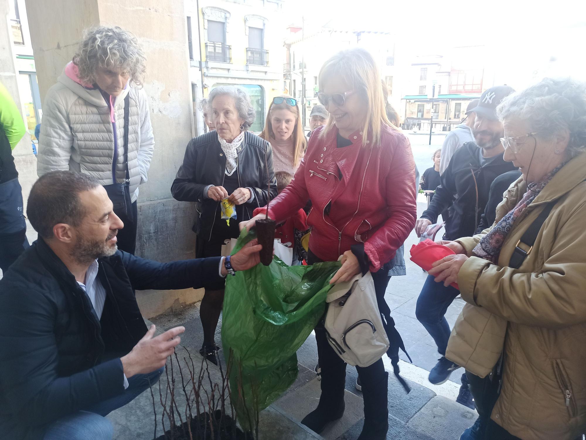 Árboles para la huerta, para cerrar una finca o para replantar en el monte en Siero: así son los usos que dan los vecinos a los plantones repartidos por el Ayuntamiento