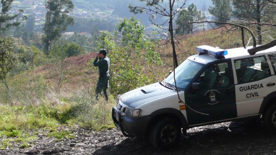 Deja morir de hambre a una yegua y su potro