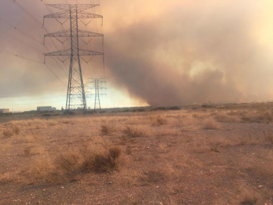 Incendio forestal en el Marjal dels Moros en Sagunt