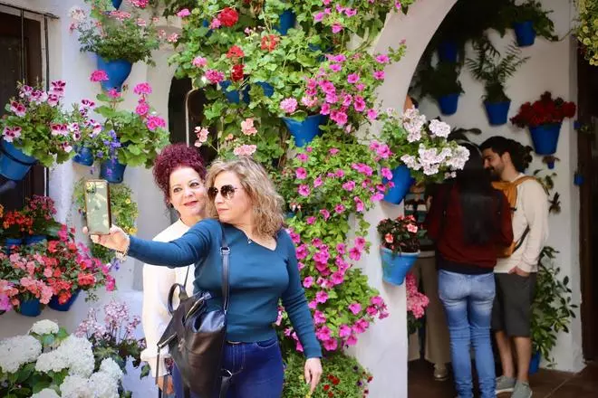 La Ruta 3 de los Patios de Córdoba, en imágenes