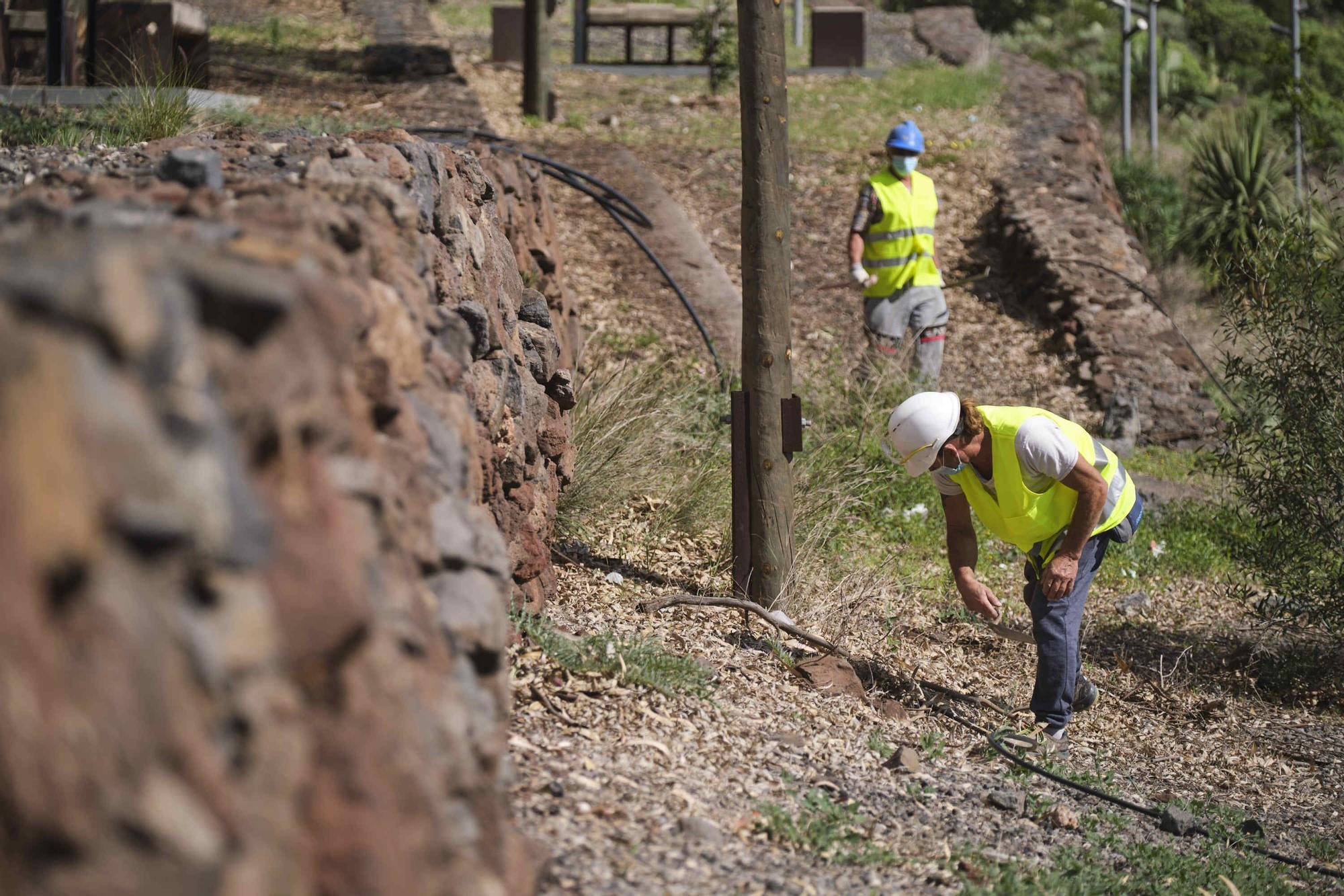 Visita Parque Mesas, inicio obra de la zona de las chuletadas.