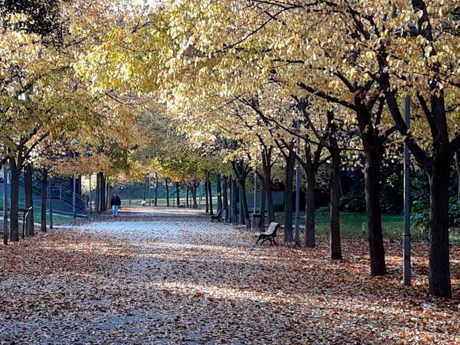 Parc Vallparadis (Terrassa)