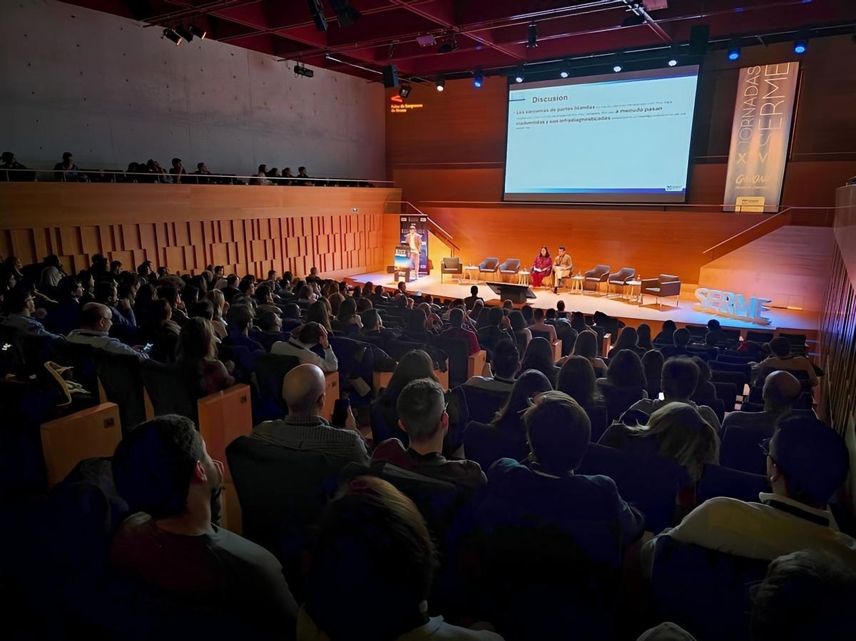 Una de les ponències d'aquest divendres al matí.