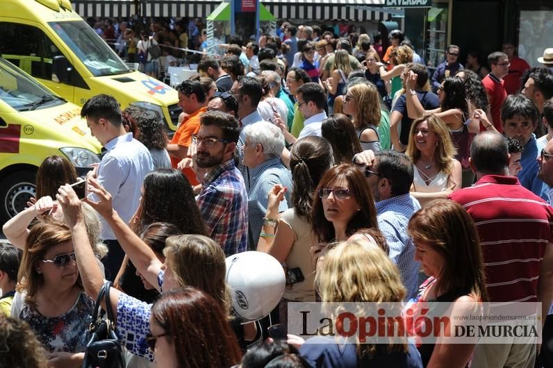 Cae parte del ficus de Santo Domingo en Murcia