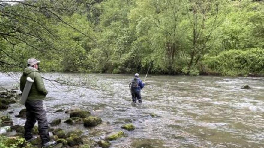 Pesca: Carlos Candás lidera en Trubia el Regional de salmónidos
