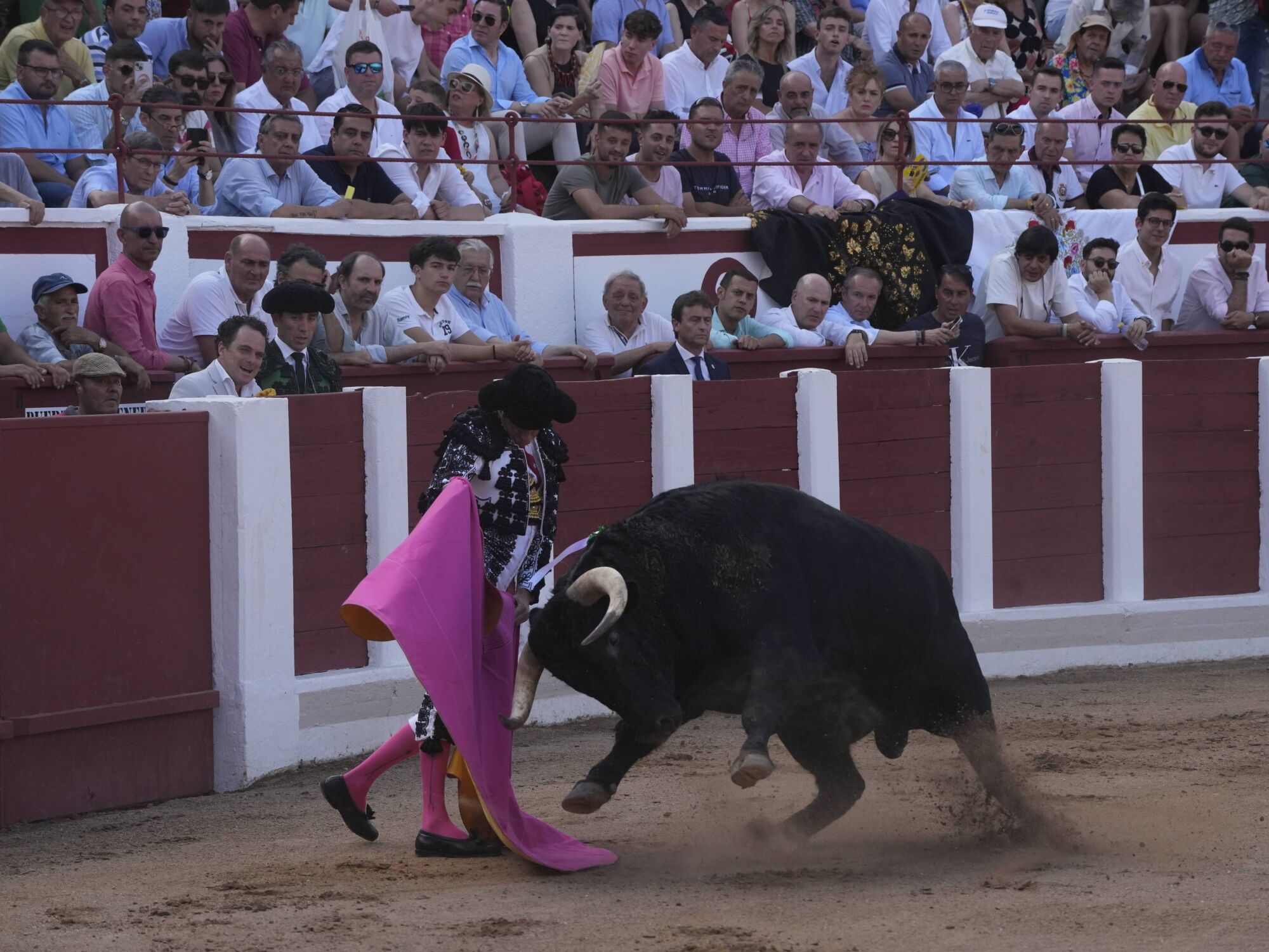 Las mejores imágenes de la feria taurina de San Pedro en Zamora.