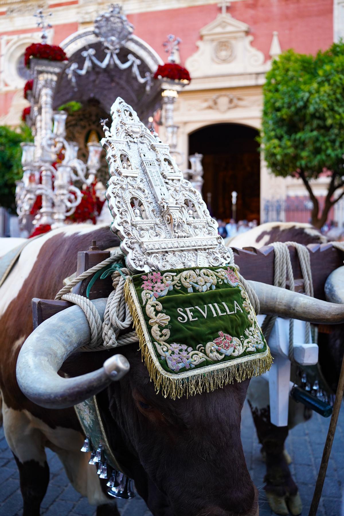 La salida de las hermandades del Rocío de Sevilla, en imágenes