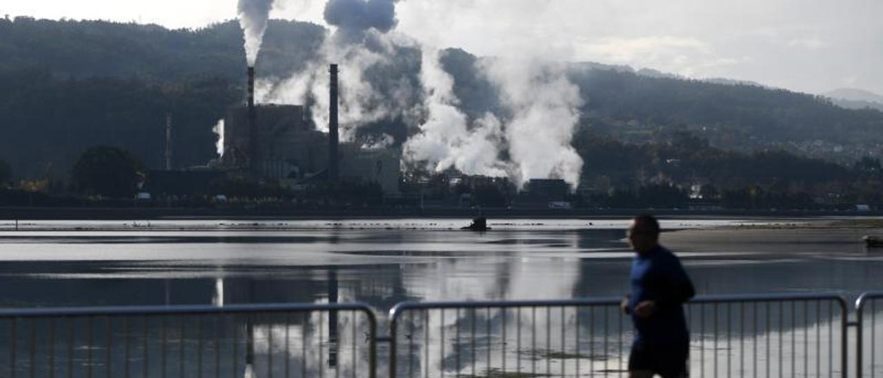 El Concello ve en As Pontes una vía para el traslado de celulosas y Ence  cierra esa puerta - Faro de Vigo