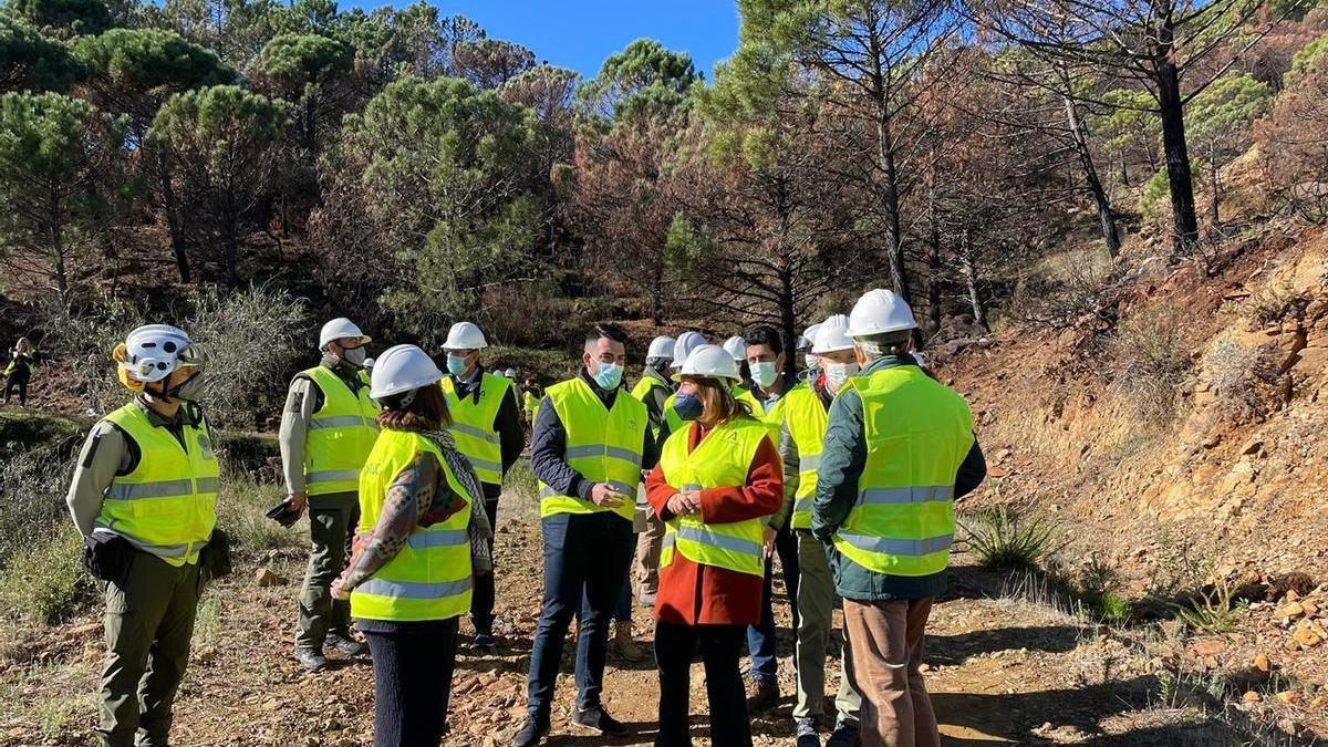Carmen Crespo visita la zona con los alcaldes de Jubrique, Alberto Jesús Benítez; y de Júzcar, Francisco Lozano Fernández; así como el concejal de Estepona, José María Ayala; y la concejala de Genalguacil, María José Rodríguez.