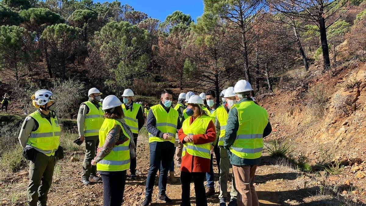 Carmen Crespo visita la zona con los alcaldes de  Jubrique, Alberto Jesús Benítez; y de Júzcar, Francisco Lozano Fernández; así como el concejal de Estepona, José María Ayala; y la concejala de Genalguacil, María José Rodríguez.