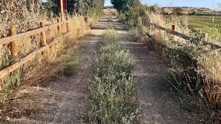 IU Benavente denuncia el “abandono” de la Vía Verde de la Plata y pide a Diputación su limpieza y desbroce