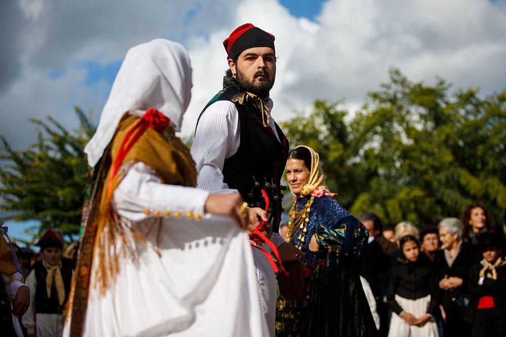 Fiestas de Santa Gertrudis