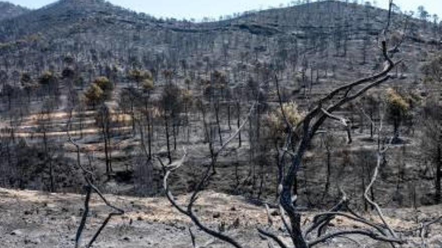 Imagen del incendio en la sierra de la Solana el pasado mes de julio.