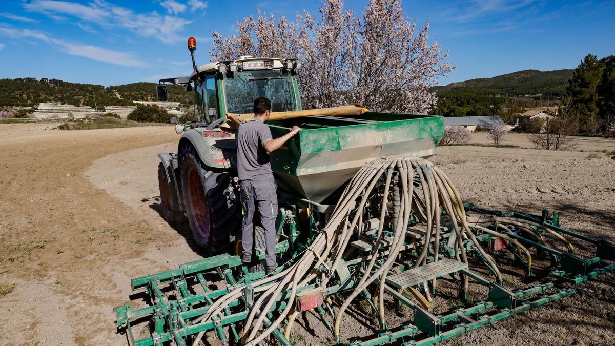 Un agricultor sembrando cereales esta pasada semana en la Vall de Polop, en término municipal de Alcoy.